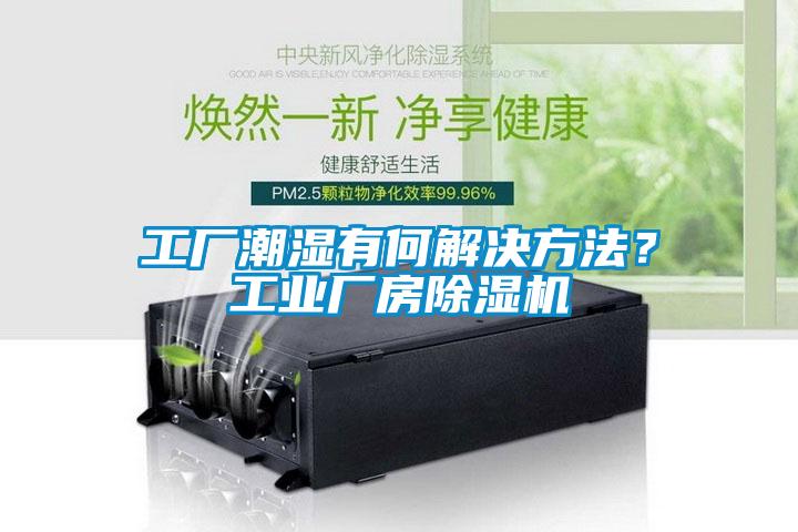 工廠潮濕有何解決方法?工業廠房除濕機