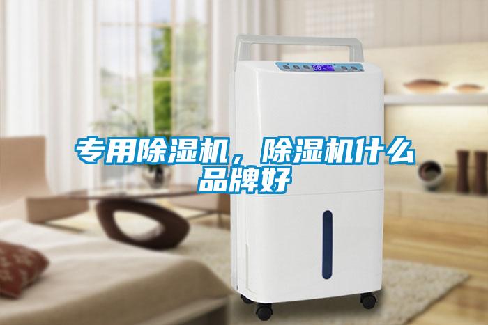 專用除濕機,除濕機什么品牌好