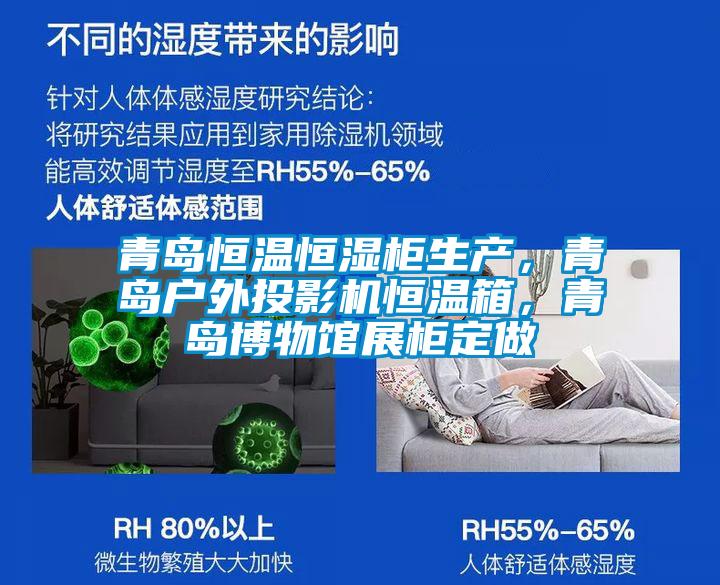 青島恒溫恒濕柜生產(chǎn)，青島戶外投影機(jī)恒溫箱，青島博物館展柜定做
