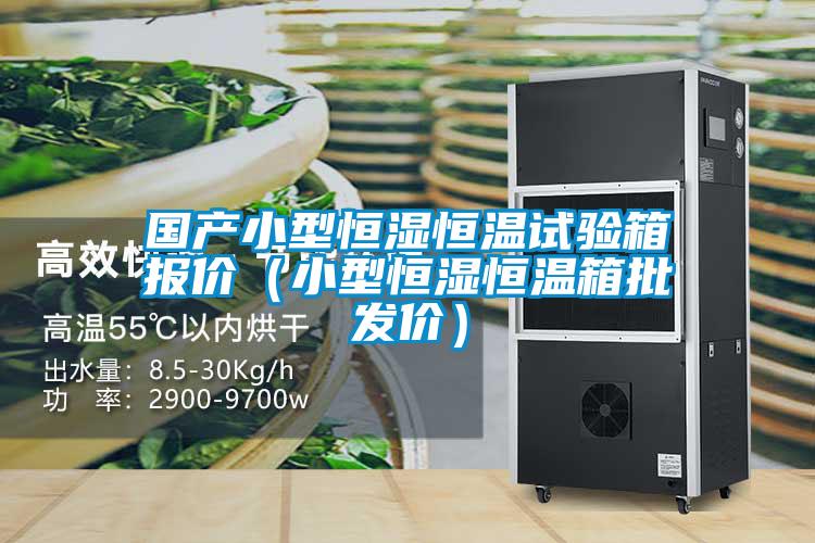 國產(chǎn)小型恒濕恒溫試驗(yàn)箱報(bào)價(jià)（小型恒濕恒溫箱批發(fā)價(jià)）