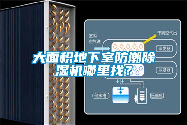 大面積地下室防潮除濕機哪里找？