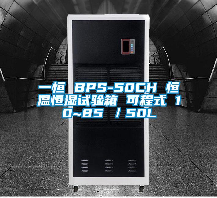 一恒 BPS-50CH 恒溫恒濕試驗箱 可程式 10~85℃/50L