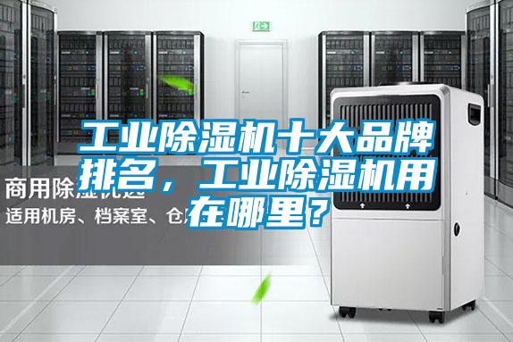 工業(yè)除濕機(jī)十大品牌排名，工業(yè)除濕機(jī)用在哪里？