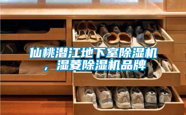 仙桃潛江地下室除濕機(jī),濕菱除濕機(jī)品牌