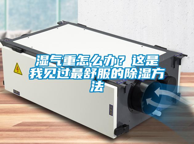 濕氣重怎么辦?這是我見過最舒服的除濕方法