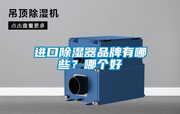 進口除濕器品牌有哪些？哪個好