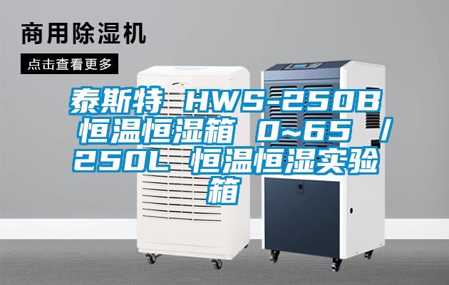 泰斯特 HWS-250B 恒溫恒濕箱 0~65℃/250L 恒溫恒濕實驗箱