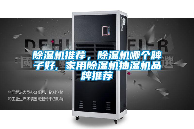 除濕機推薦,除濕機哪個牌子好, 家用除濕機抽濕機品牌推薦