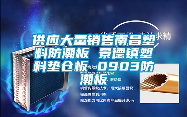 供應(yīng)大量銷售南昌塑料防潮板 景德鎮(zhèn)塑料墊倉(cāng)板 0903防潮板