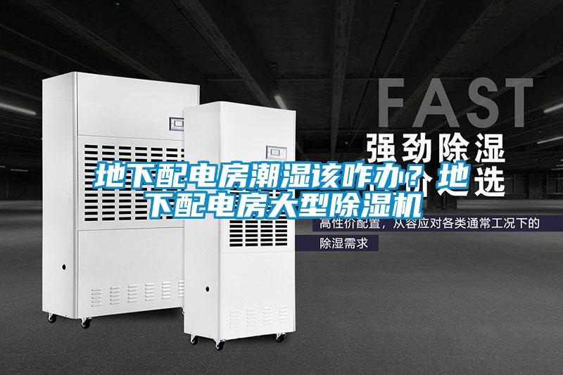 地下配電房潮濕該咋辦？地下配電房大型除濕機