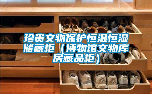珍貴文物保護(hù)恒溫恒濕儲(chǔ)藏柜（博物館文物庫房藏品柜）