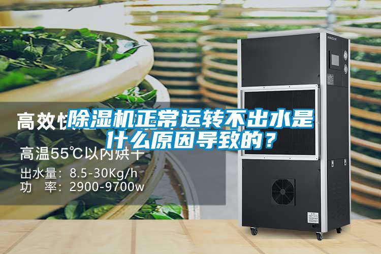 除濕機(jī)正常運轉(zhuǎn)不出水是什么原因?qū)е碌模?/></p>
						    <p style=
