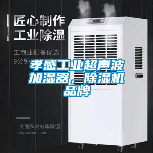 孝感工業(yè)超聲波加濕器，除濕機(jī)品牌