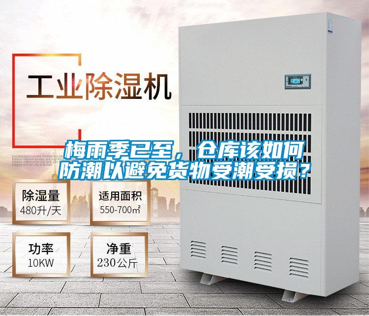 梅雨季已至，倉庫該如何防潮以避免貨物受潮受損？