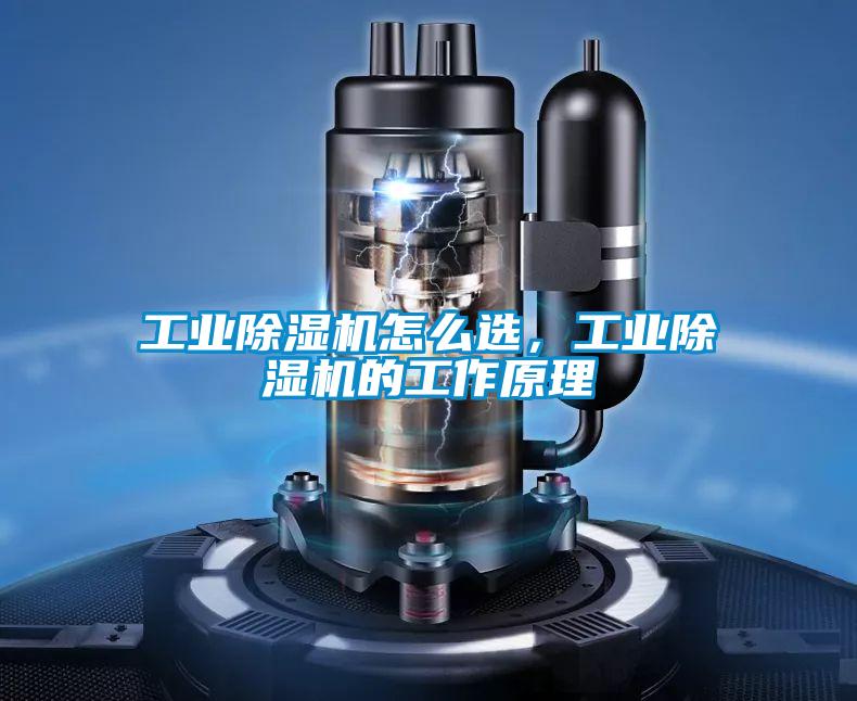 工業(yè)除濕機(jī)怎么選,工業(yè)除濕機(jī)的工作原理