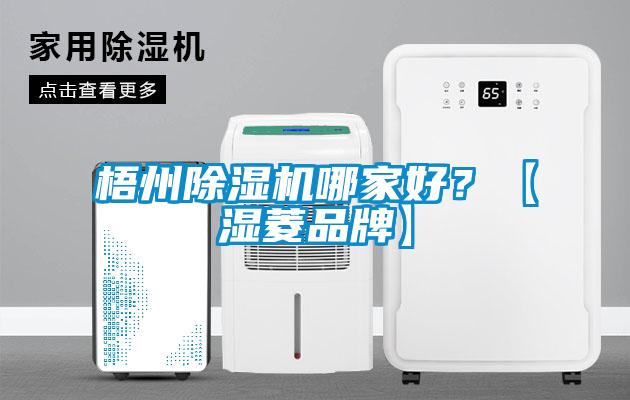 梧州除濕機哪家好？【濕菱品牌】