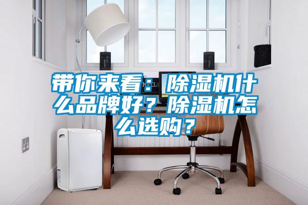 帶你來看：除濕機什么品牌好？除濕機怎么選購？