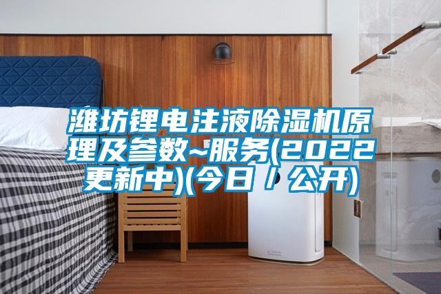 濰坊鋰電注液除濕機原理及參數~服務(2022更新中)(今日/公開)