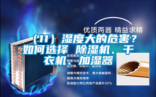 (11)濕度大的危害?如何選擇 除濕機(jī)、干衣機(jī)、加濕器