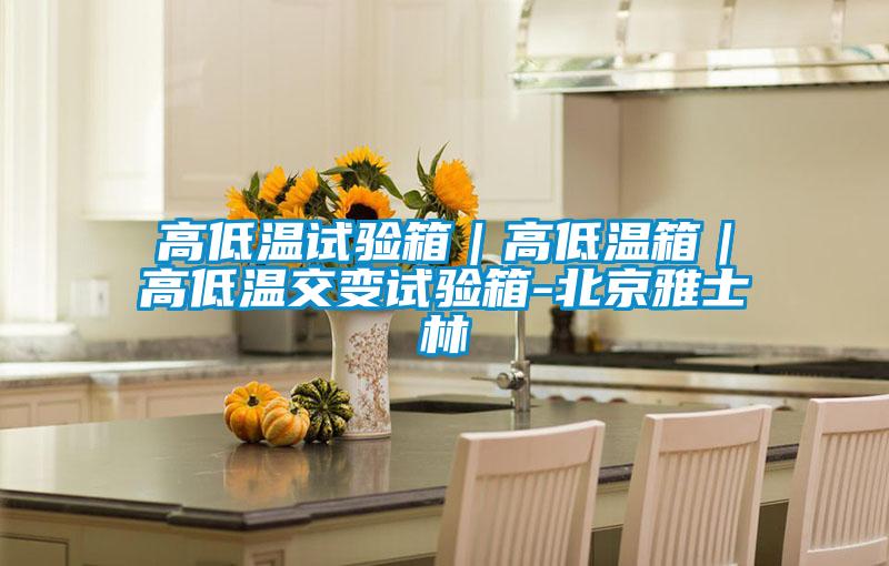 高低溫試驗(yàn)箱｜高低溫箱｜高低溫交變試驗(yàn)箱-北京雅士林