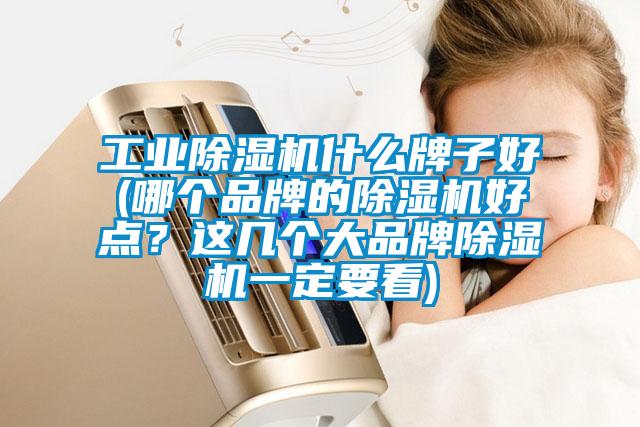 工業除濕機什么牌子好(哪個品牌的除濕機好點？這幾個大品牌除濕機一定要看)