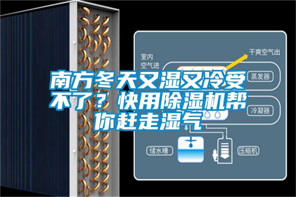 南方冬天又濕又冷受不了？快用除濕機幫你趕走濕氣