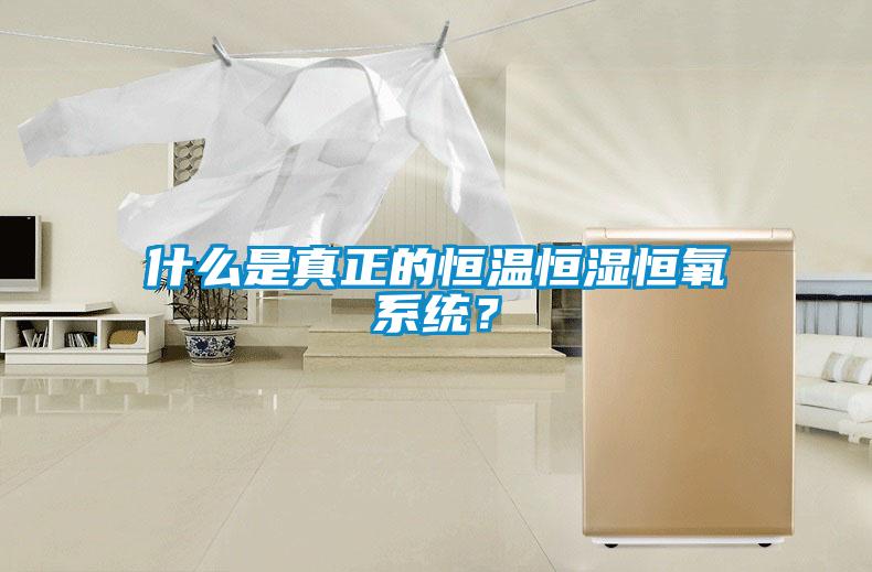 什么是真正的恒溫恒濕恒氧系統(tǒng)?