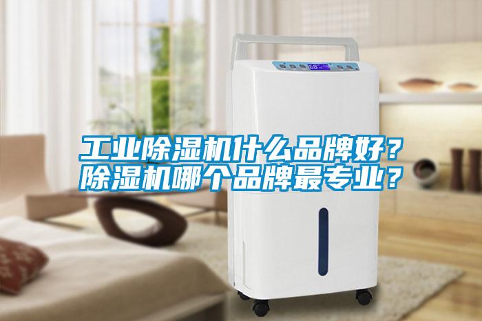 工業(yè)除濕機什么品牌好？除濕機哪個品牌最專業(yè)？