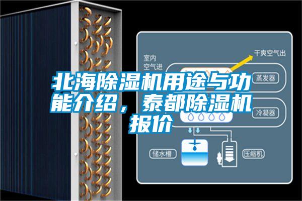 北海除濕機(jī)用途與功能介紹，泰都除濕機(jī)報(bào)價