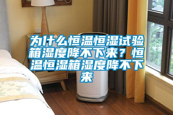 為什么恒溫恒濕試驗箱濕度降不下來？恒溫恒濕箱濕度降不下來