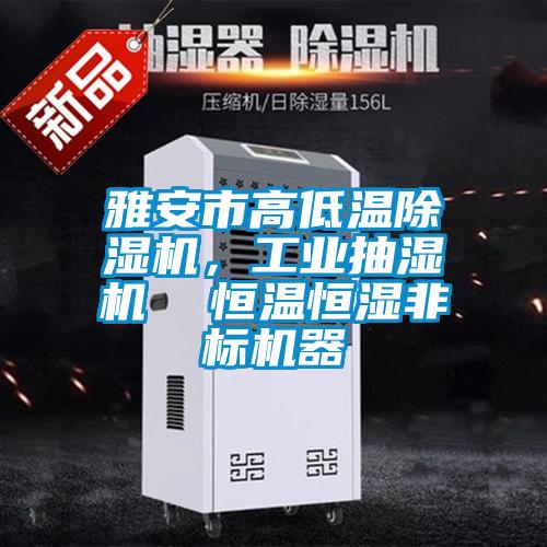雅安市高低溫除濕機，工業抽濕機  恒溫恒濕非標機器