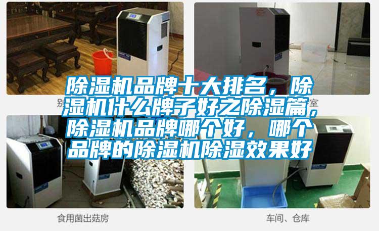 除濕機品牌十大排名，除濕機什么牌子好之除濕篇，除濕機品牌哪個好，哪個品牌的除濕機除濕效果好