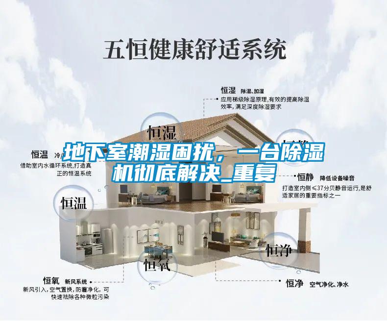 地下室潮濕困擾，一臺除濕機徹底解決_重復