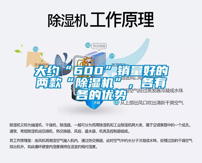 大約“600”銷量好的兩款“除濕機(jī)”，各有各的優(yōu)勢(shì)