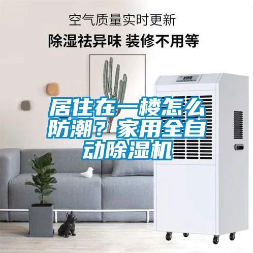 居住在一樓怎么防潮？家用全自動除濕機