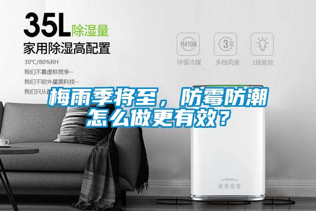 梅雨季將至，防霉防潮怎么做更有效？