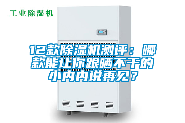 12款除濕機測評:哪款能讓你跟曬不干的小內(nèi)內(nèi)說再見?