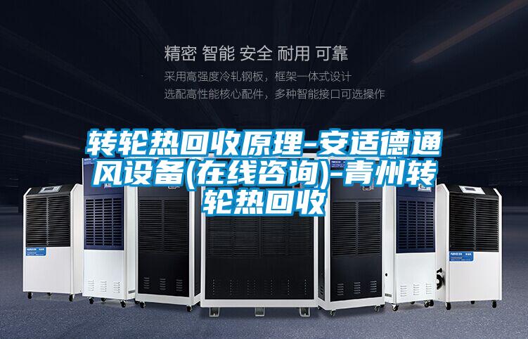 轉(zhuǎn)輪熱回收原理-安適德通風設(shè)備(在線咨詢)-青州轉(zhuǎn)輪熱回收