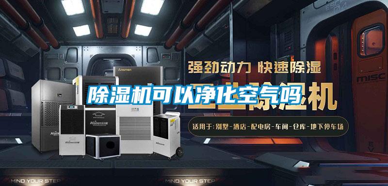 除濕機(jī)可以凈化空氣嗎