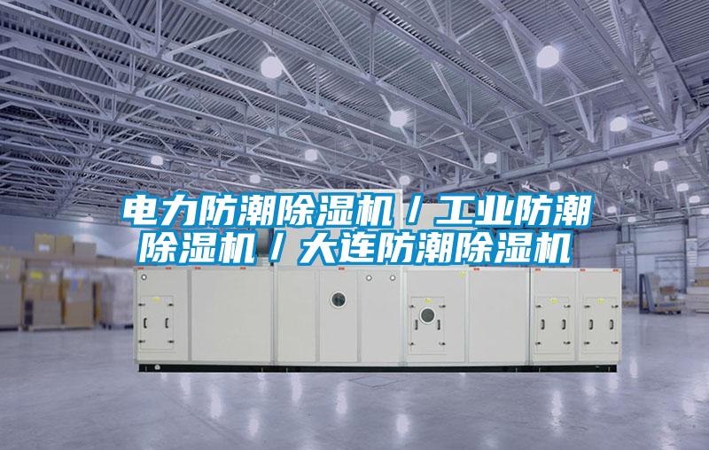 電力防潮除濕機/工業防潮除濕機/大連防潮除濕機