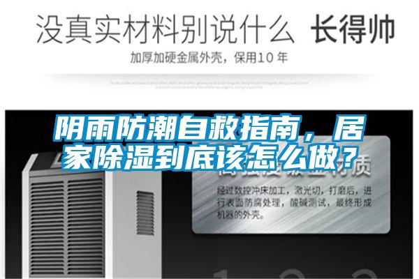 陰雨防潮自救指南，居家除濕到底該怎么做？