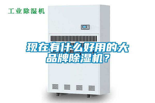 現(xiàn)在有什么好用的大品牌除濕機?