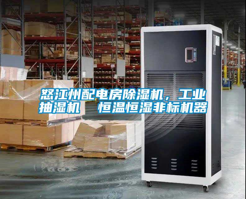 怒江州配電房除濕機,工業(yè)抽濕機 恒溫恒濕非標(biāo)機器