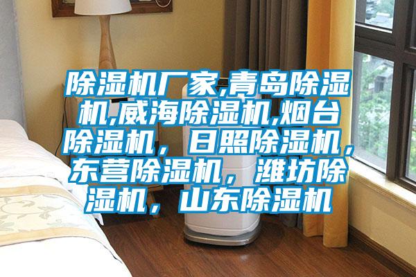 除濕機廠家,青島除濕機,威海除濕機,煙臺除濕機，日照除濕機，東營除濕機，濰坊除濕機，山東除濕機