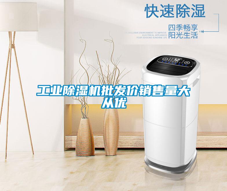 工業(yè)除濕機(jī)批發(fā)價(jià)銷(xiāo)售量大從優(yōu)