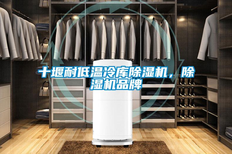十堰耐低溫冷庫除濕機，除濕機品牌