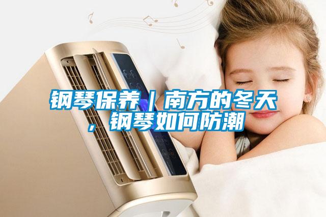 鋼琴保養｜南方的冬天，鋼琴如何防潮