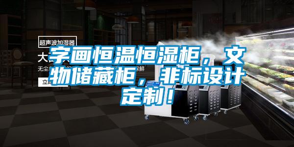 字畫恒溫恒濕柜,文物儲藏柜,非標(biāo)設(shè)計定制!