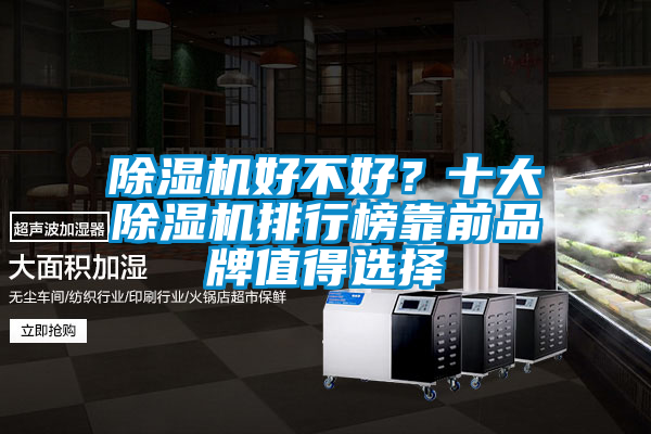除濕機好不好?十大除濕機排行榜靠前品牌值得選擇
