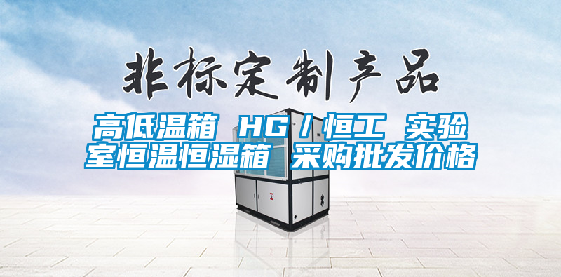 高低溫箱 HG/恒工 實驗室恒溫恒濕箱 采購批發(fā)價格